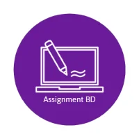 Assignment Answer BD